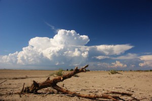 Strandgut Strand