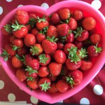 Erdbeeren pflücken in Hamburg und Umgebung
