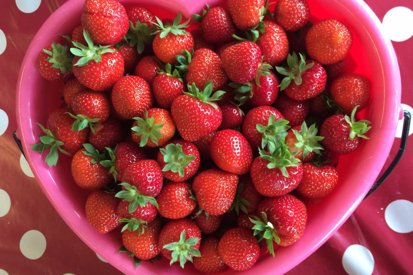 Ahoi Kinder - Ahoikinder Ahoi Kinder - Ahoikinder