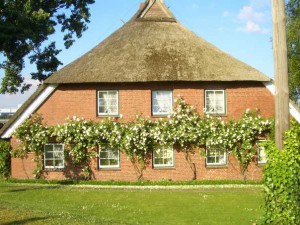 Harderhof Moorfleet