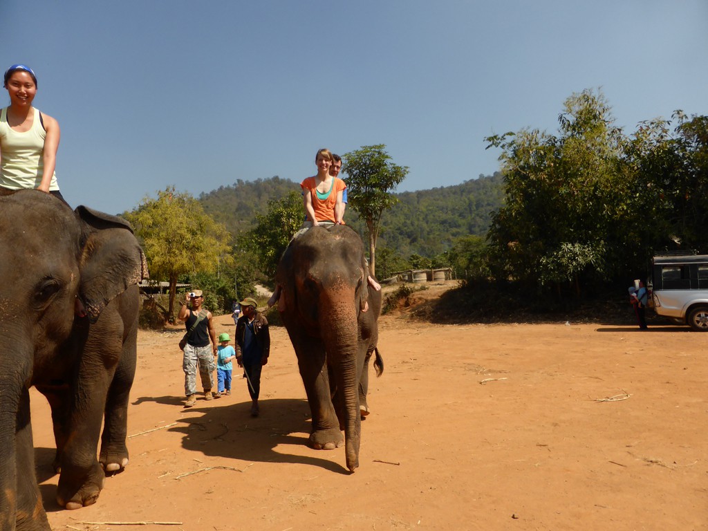 Wir auf Elefant