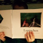 Buchtipp: Lupinchen