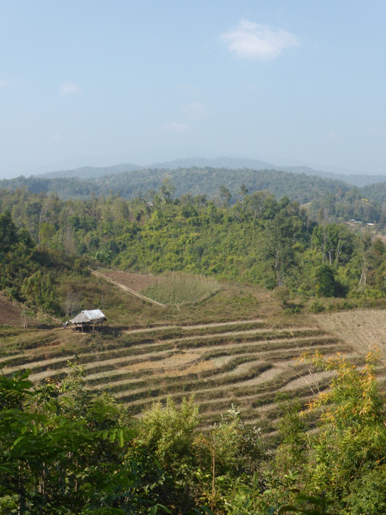 Trecking mit Kindern Thailand Familie, Nordthailand Chiang Mai