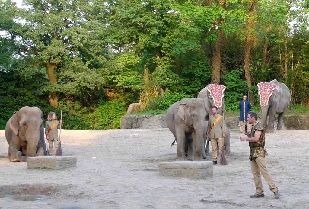 Dschungelnächte hagenbecks Tierpark elefanten