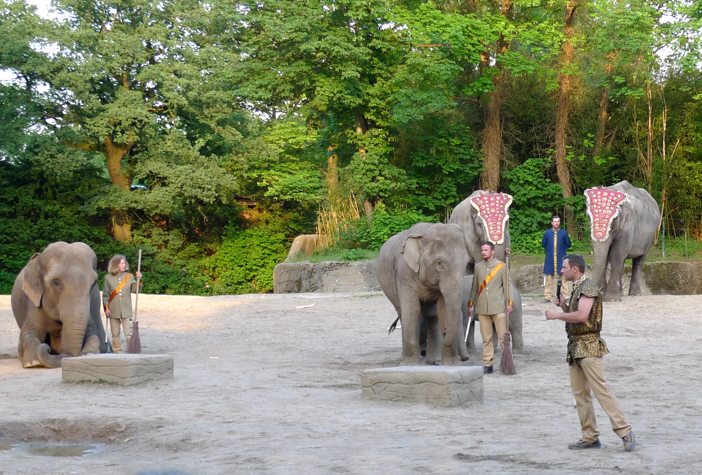 Nächte hagenbeck romantik Tierpark in