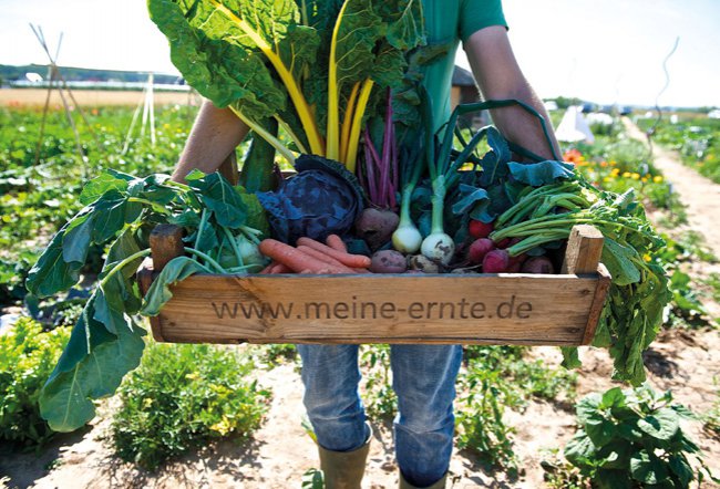 Gemüsegarten mieten