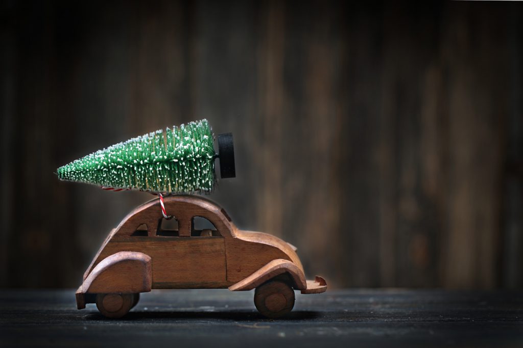 Weihnachtsbaum kaufen selber schlagen hamburg