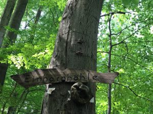 einhornhöhle harz