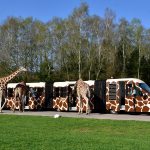 Norddeutschland: 8 Ausflüge für die Sommerferien