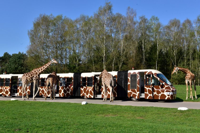 Ahoi Kinder - Ahoikinder Ahoi Kinder - Ahoikinder